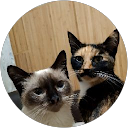 Вікторія Скольська